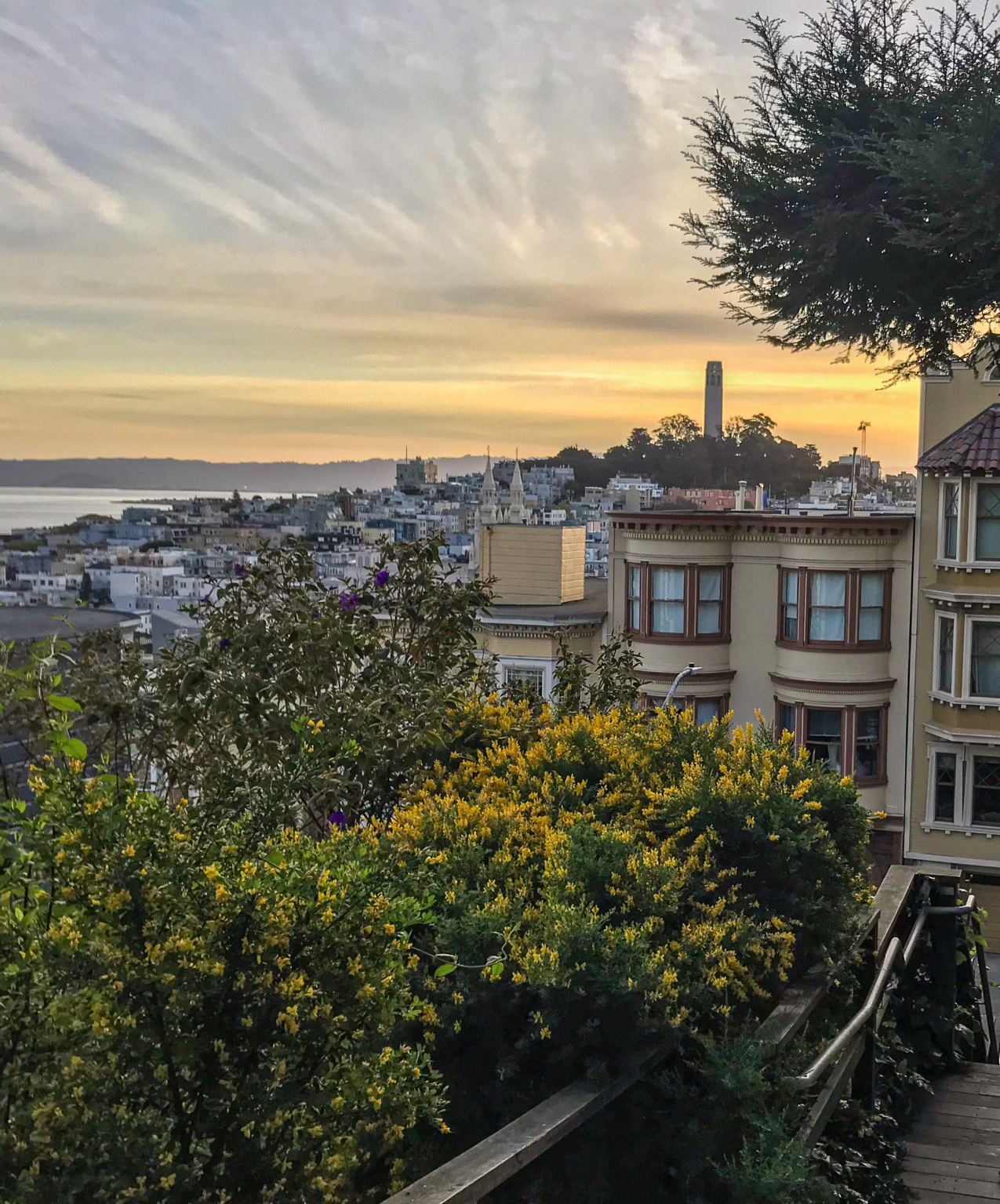 A One Day Tour of San Francisco on Public Transportation