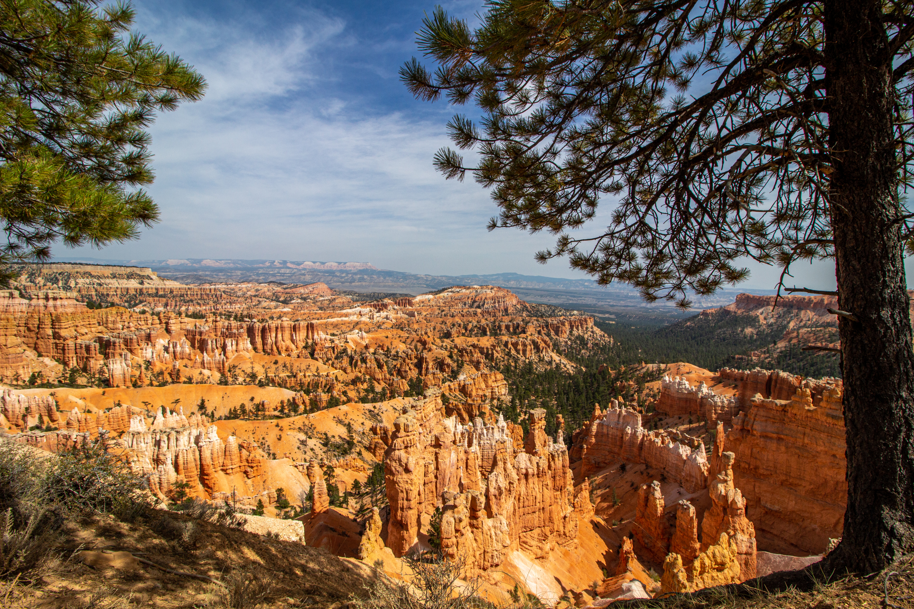 overlooking bryce canyon in utah