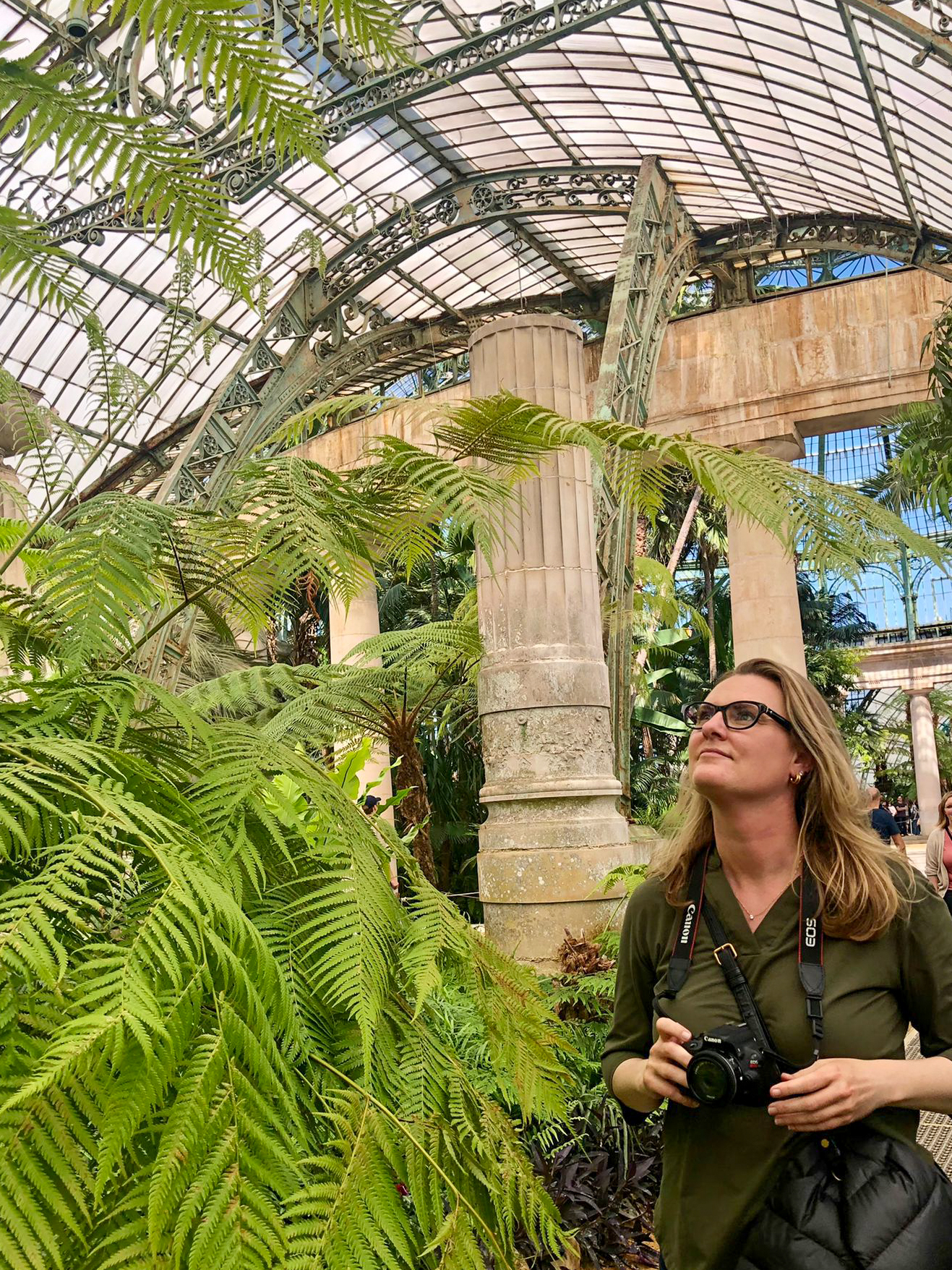 An architect looking up at the stained glass and plants inside the Royal Greenhouse in Brussels Belgium