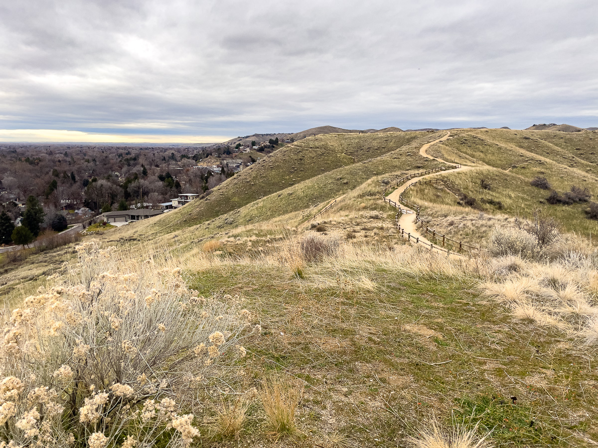 View of trails to hike at Camel's Back Park in Boise, Idaho, things to do with a dog in Boise