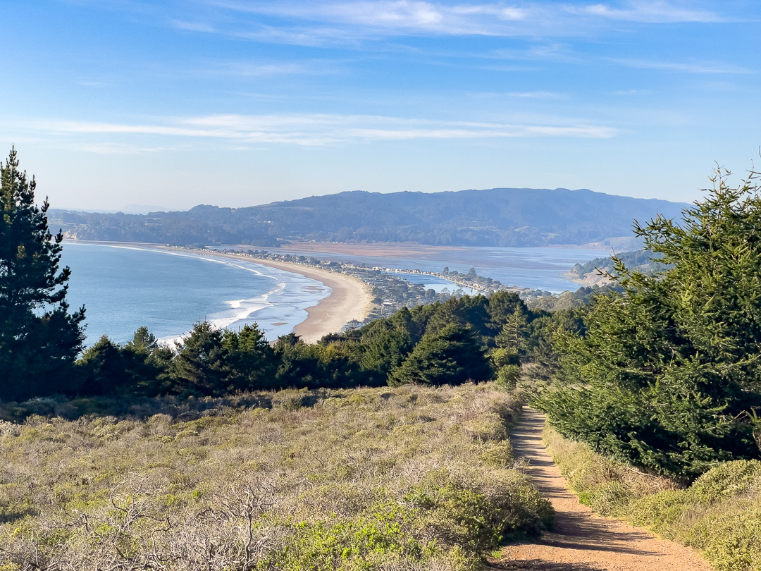 Dipsea Trail view on Mount Tamalpais hike looking at Stinson Beach