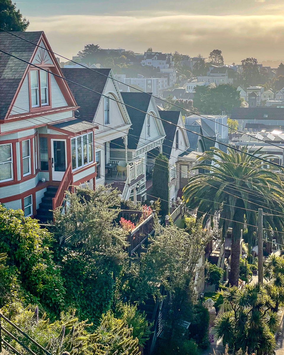 View from the top of Collingwood at the 22nd Street Jungle stairs, best views in Noe Valley