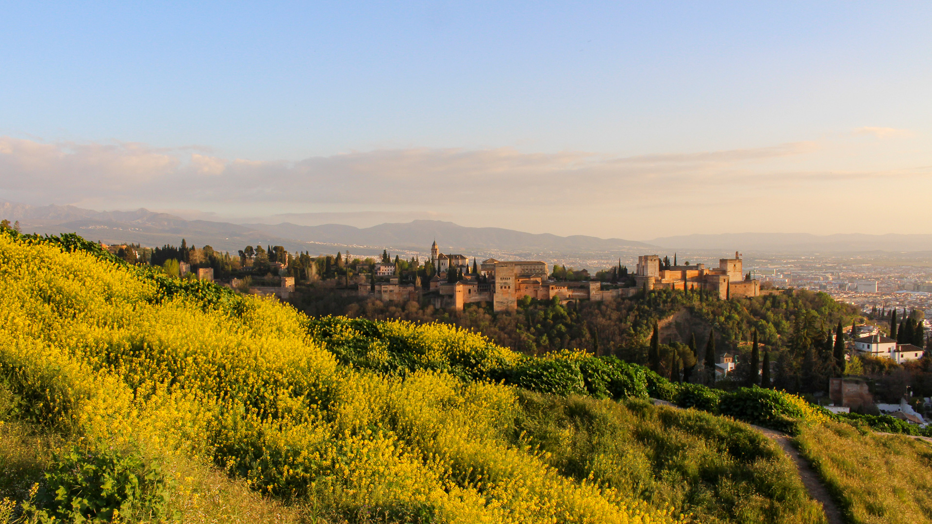 The Alhambra at sunset in spring with yellow flower, solo female travel in Spain