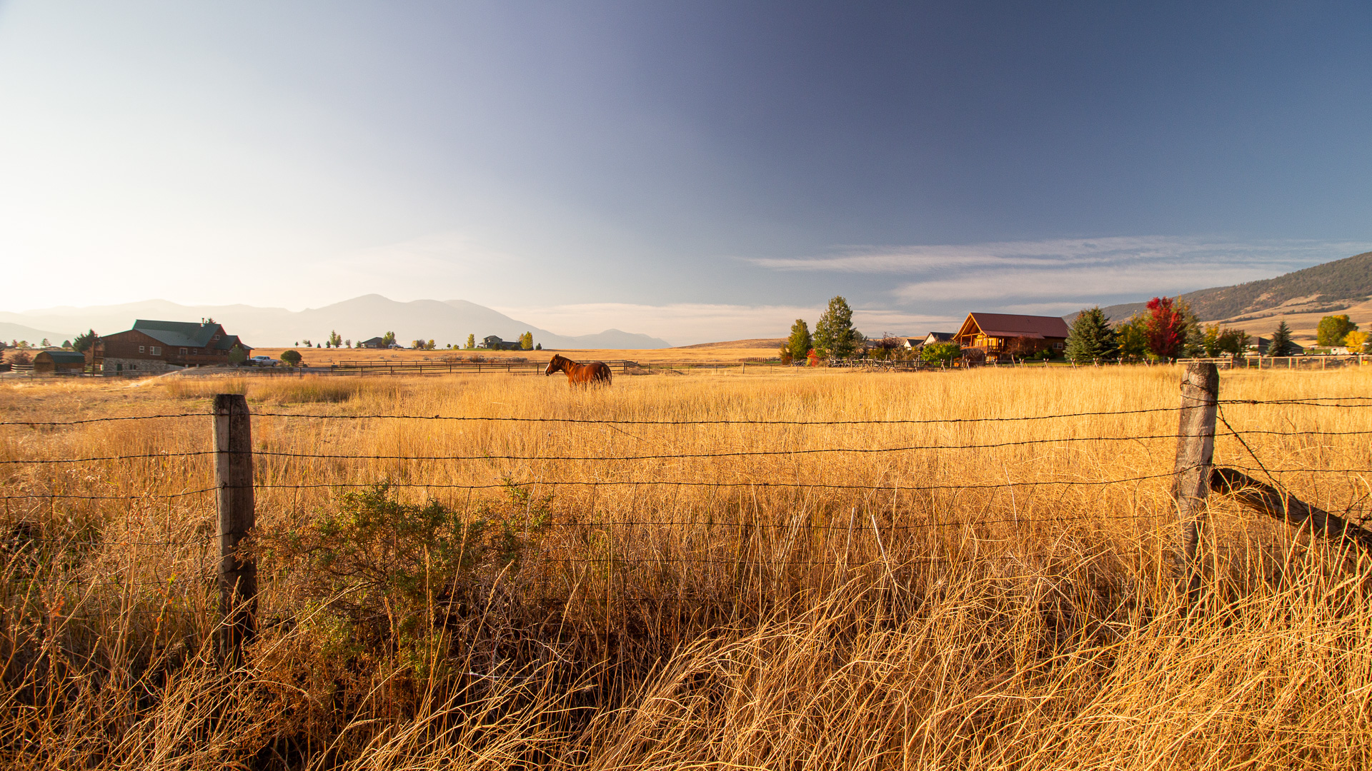 wire fence with a horse in a field in Salmon, Idaho, solo female travel