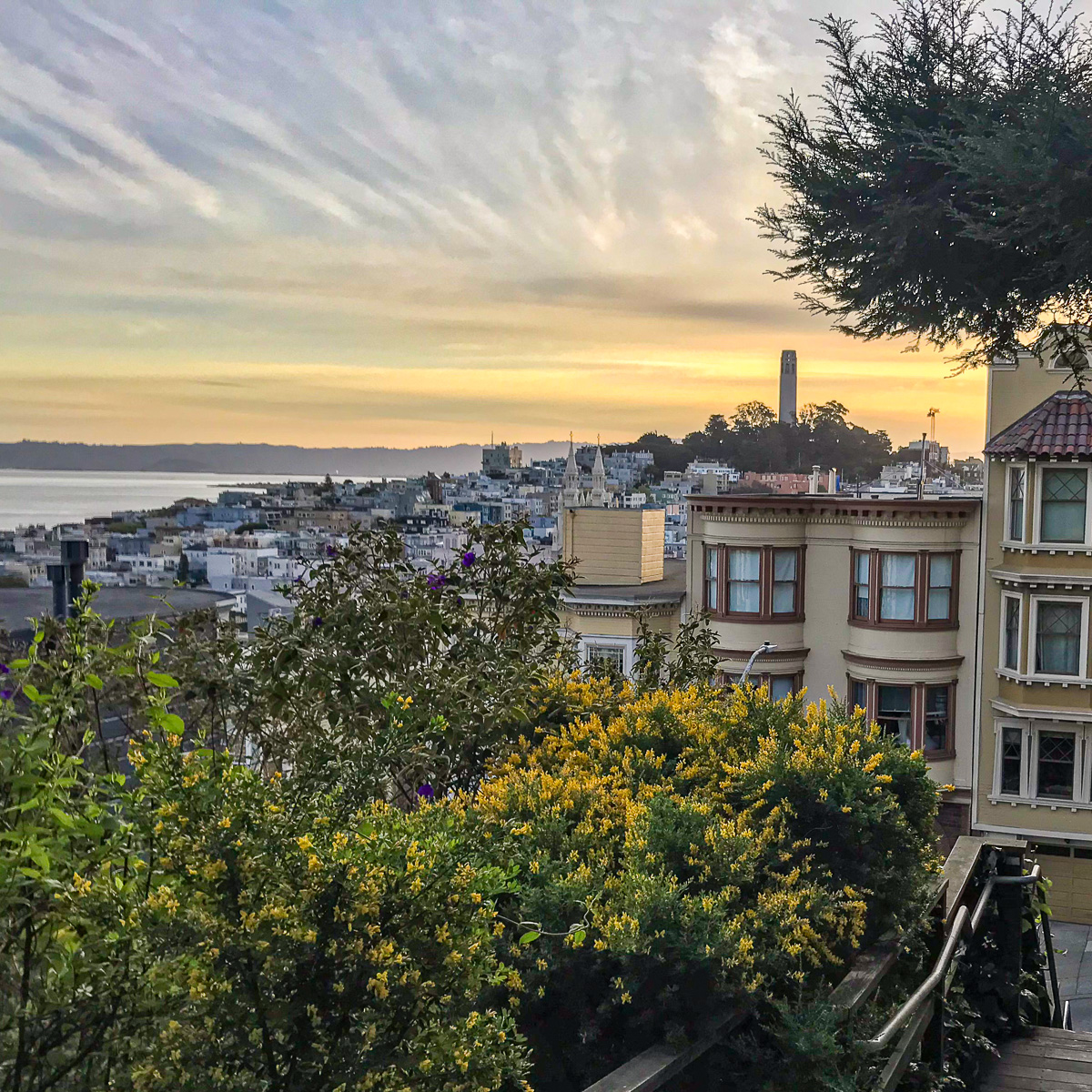 San Francisco sunrise, Coit Tower, North Beach, solo female travel and architecture