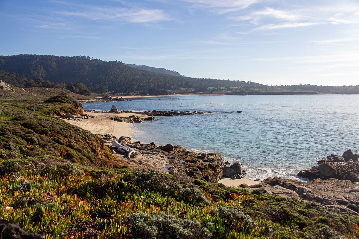 Looking towards Point Lobos from Carmel Meadows trail, beach and ocean view, dog friendly Carmel, things to do with a dog in Carmel