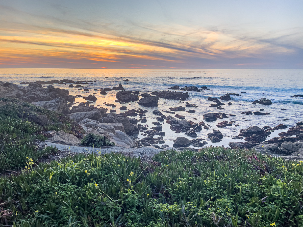 Sunset along Scenic Drive in Carmel-by-the-Sea, ocean sunset, things to do in Carmel, dog friendly Carmel