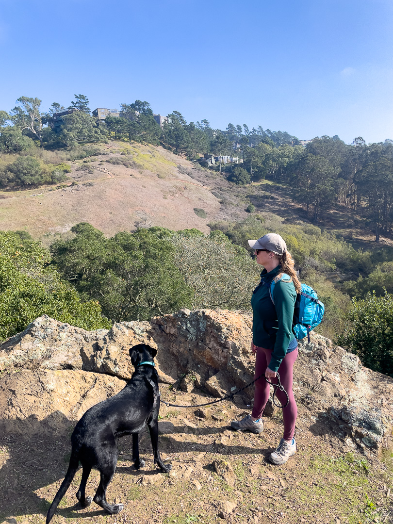 The view from coyote crags in Glen Canyon Park, things to do with a dog in San Francisco