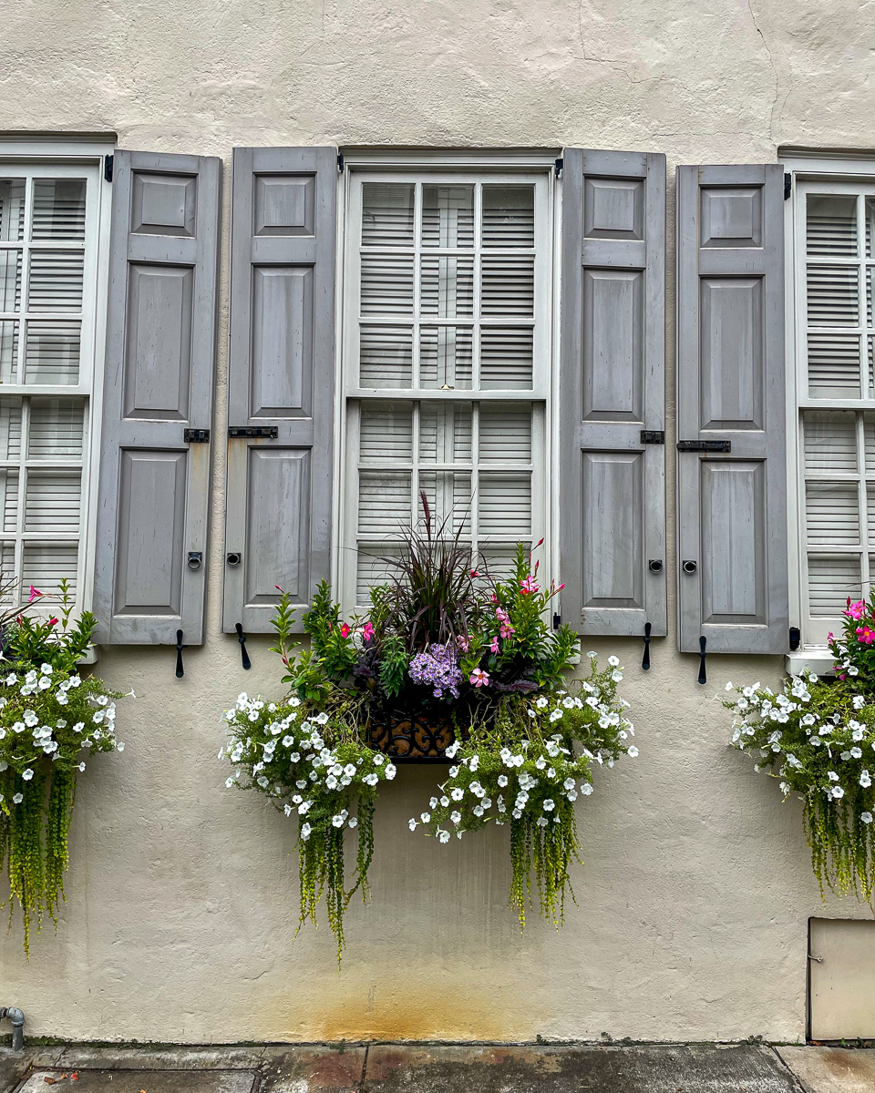 window boxes in Charleston, flower boxes in Charleston, Girls trip to Charleston