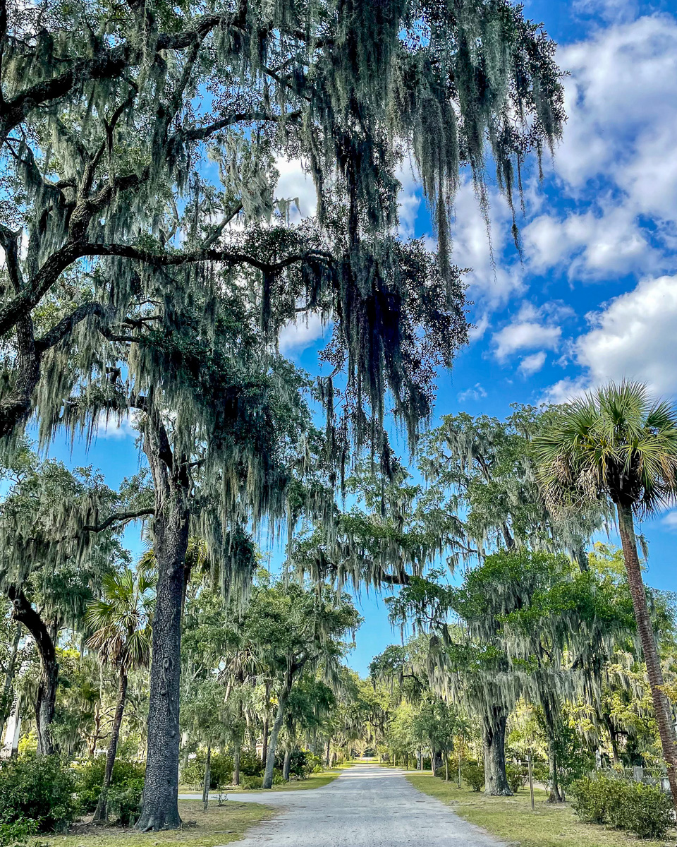 Bonaventure cemetery, savannah, things to do in savannah