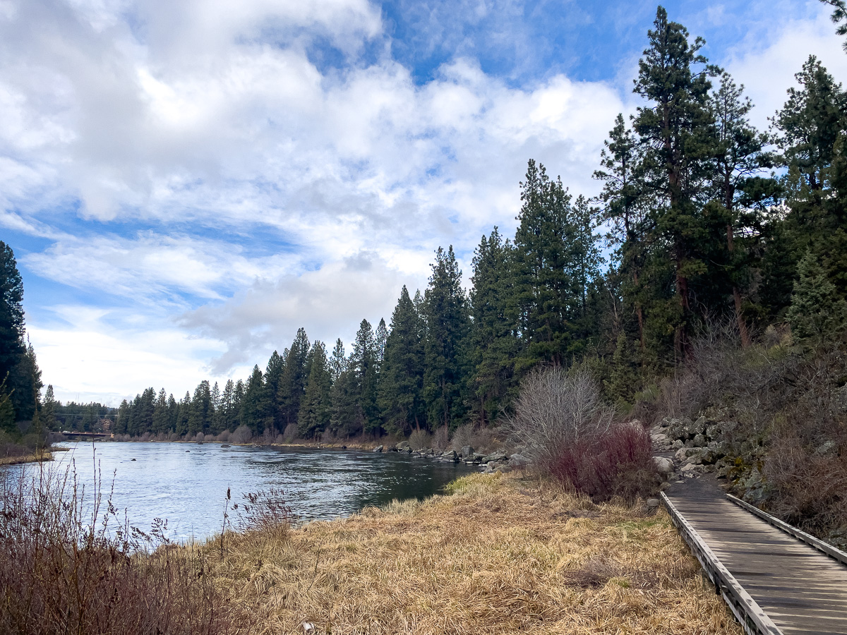 Deschutes River Trail in bend, Oregon, walking Bend Oregon, dog friendly things to do in Bend Oregon