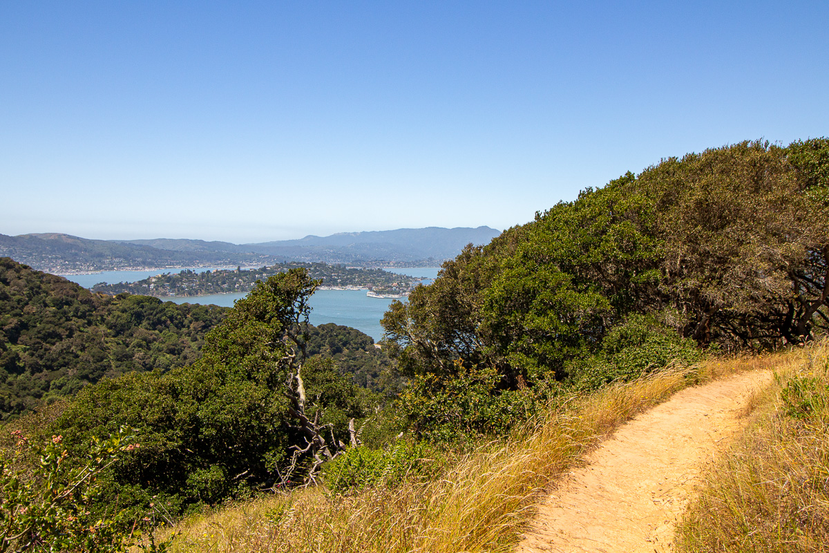 Views towards Tiburon from the North Ridge trail on Angel Island, hiking Angel Island, Angel Island hiking trails