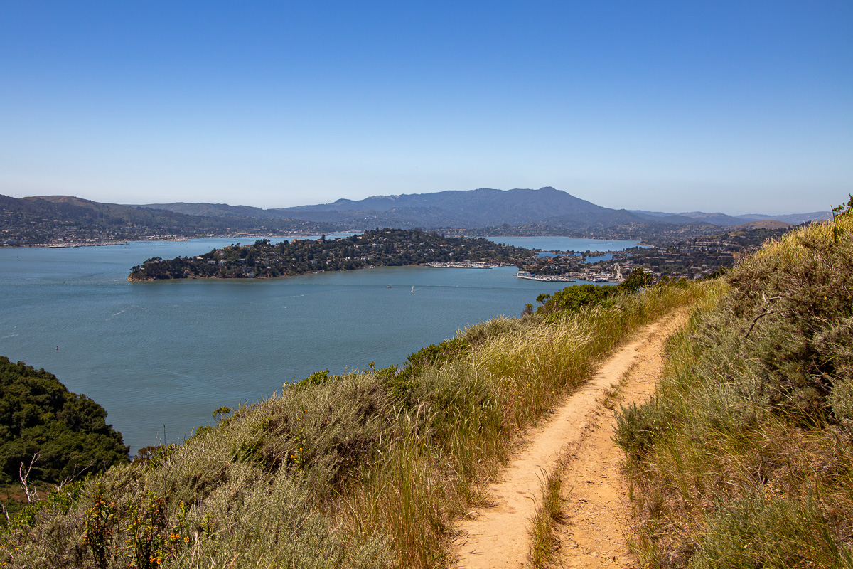 Sunset Trail on Angel Island, Tiburon and Belvedere, best Bay area hiking trails