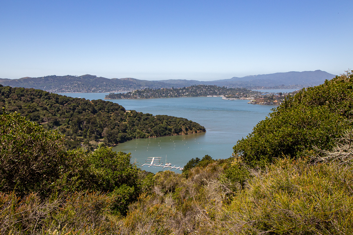 hiking Angel Island, Ayala Cove, North Ridge Trail, hiking Angel Island, Day trip to Angel Island from San Francisco