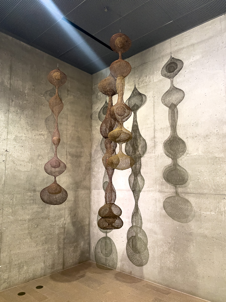 Ruth Asawa at the de young, freethings o do at the de young museum, Free things to do in golden gate park