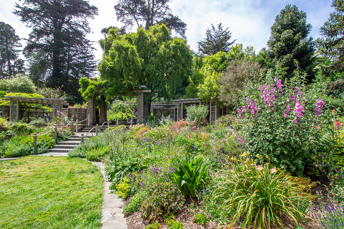 San Francisco Botanical Garden in Golden Gate Park, Gardens in Golden Gate Park, things to do in GGP