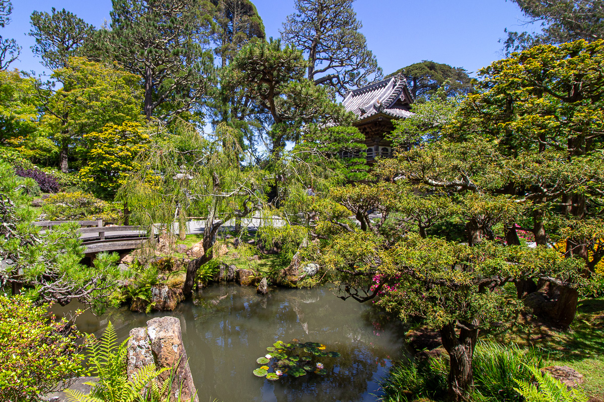 Koi Pond inside the Japanese Tea Garden in Golden Gate Park, gardens in Golden Gate Park
