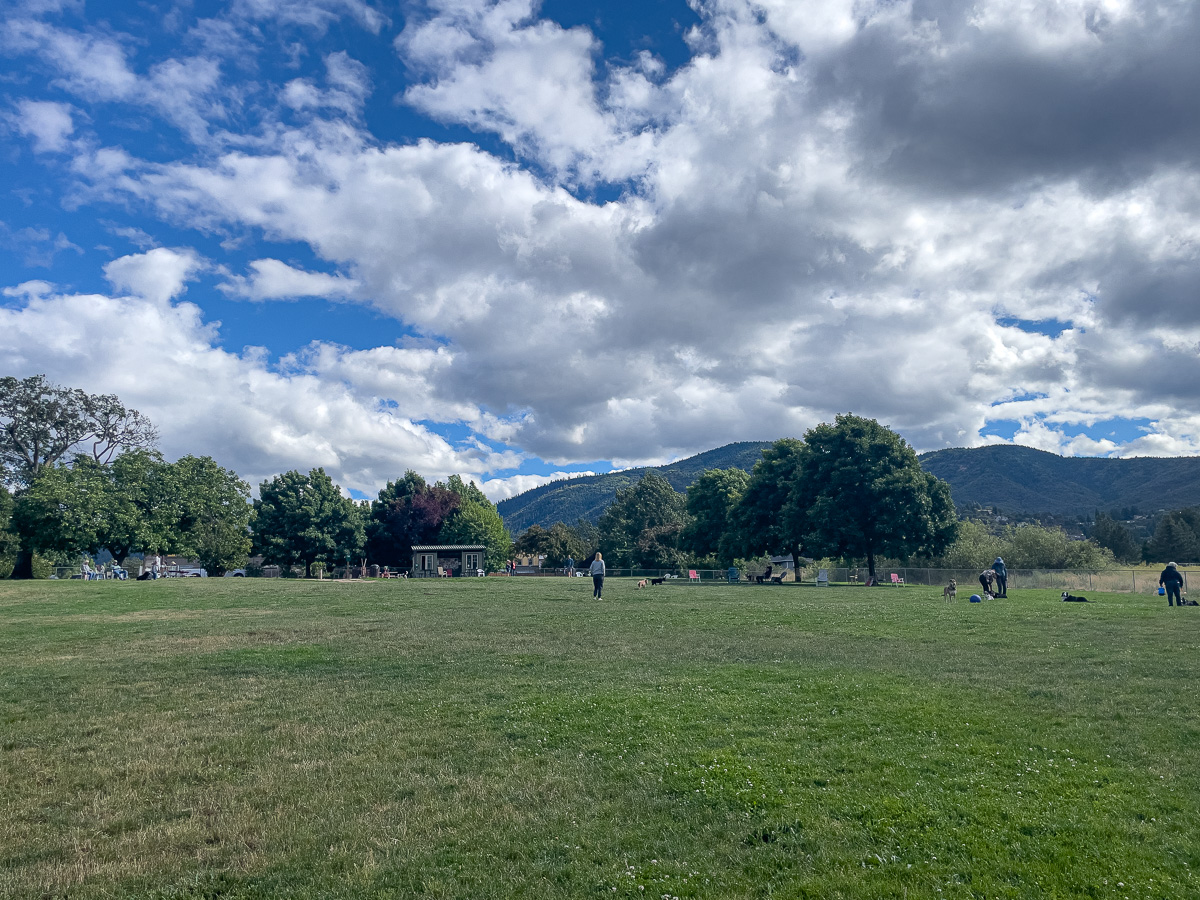 Ashland Dog Park, large off-leash dog park in Ashland, dog friendly things to do in Ashland