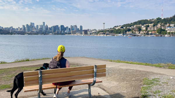 The view from Gas Works Park, best parks in Seattle