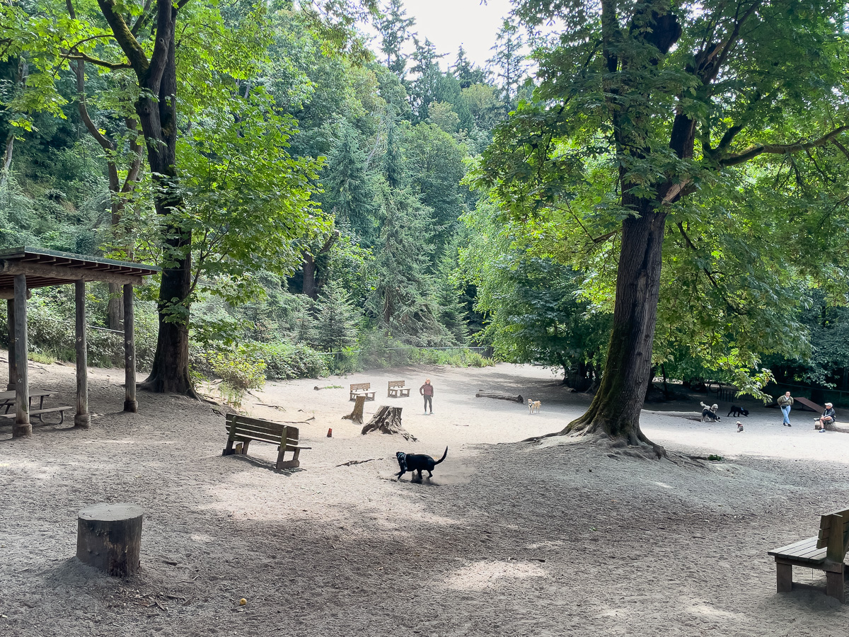 Golden Gardens Dog Park, Seattle dog park
