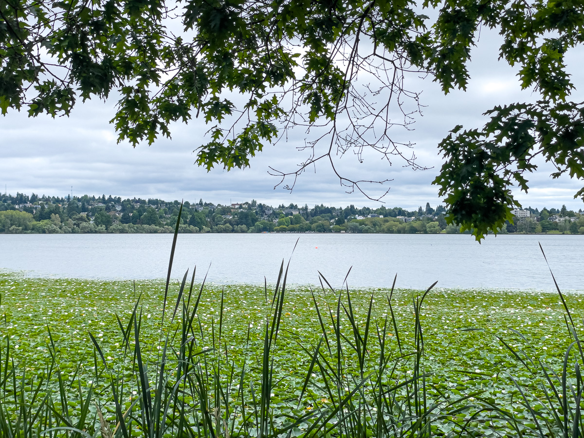 Green Lake in Seattle, walking trails, dog-friendly things to do in Seattle