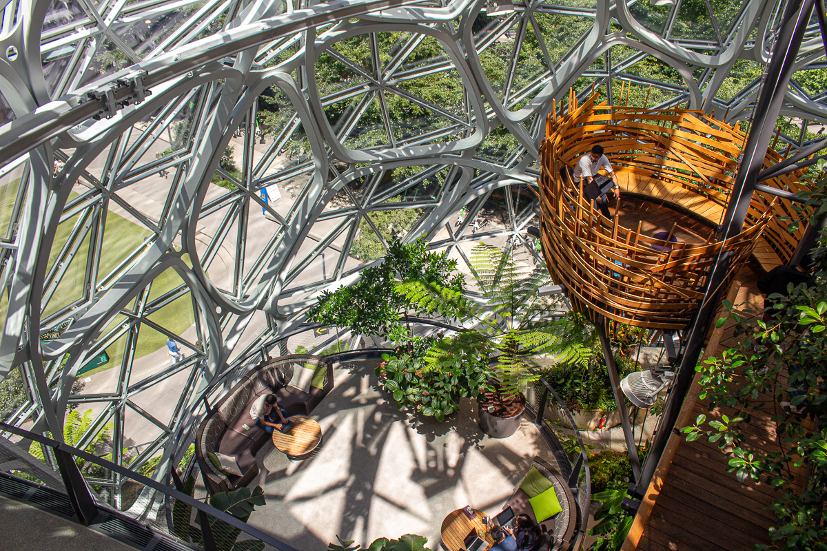 Bird's Nest inside the Spheres, Seattle architecture, amazon spheres