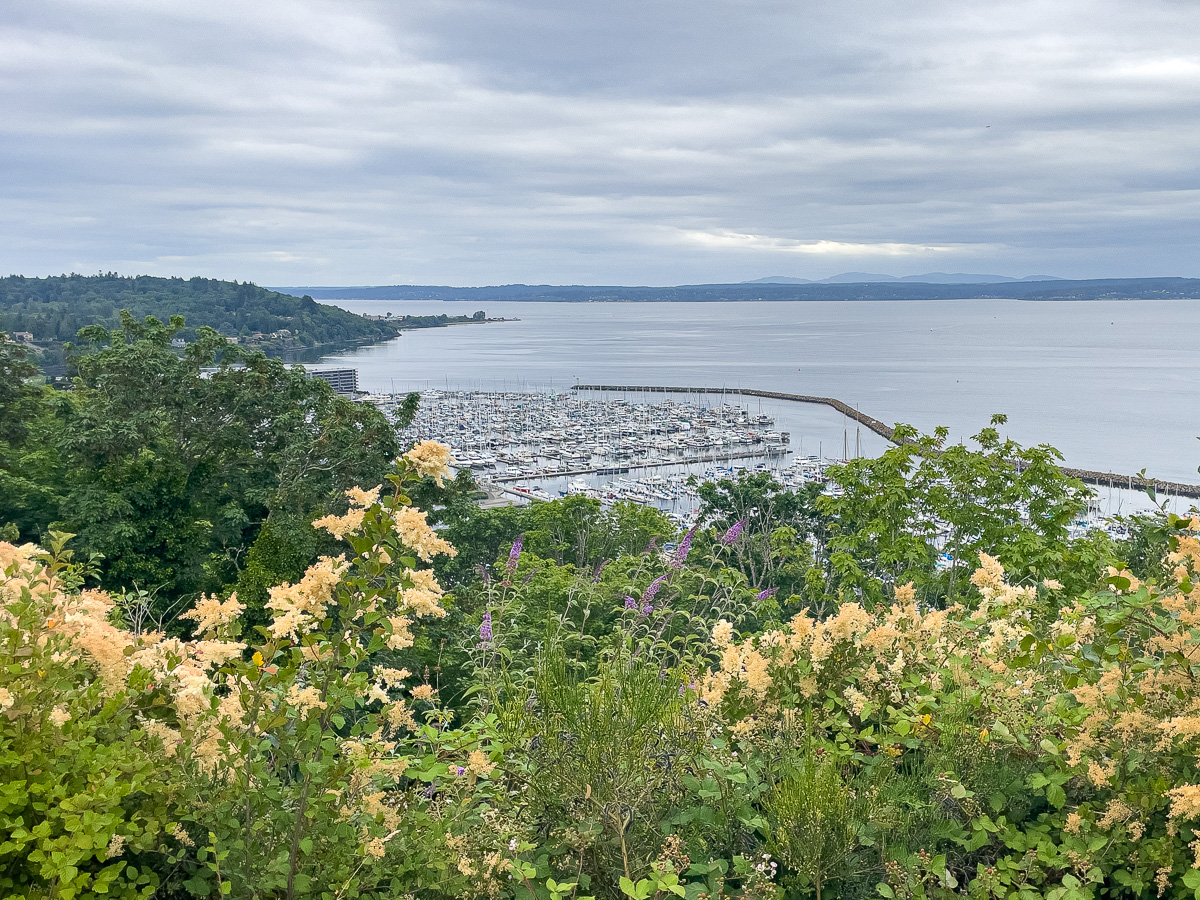 The view from Sunset Hill Park, Ballard, Seattle, views from Ballard